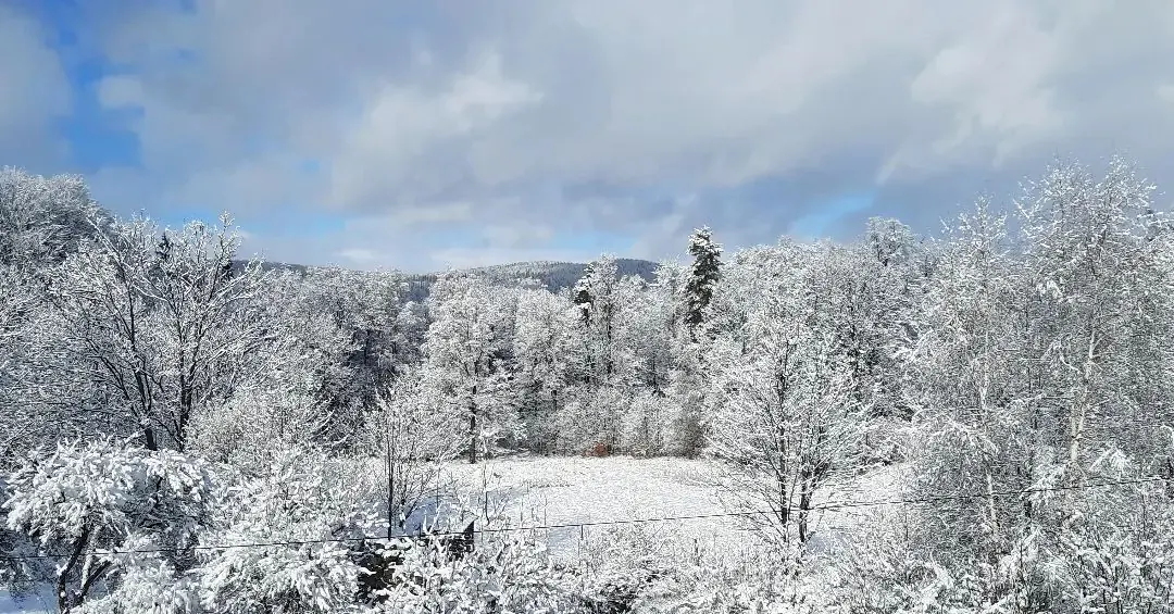 Zimowy widok na lasy wok&oacute;ł Lavendowo